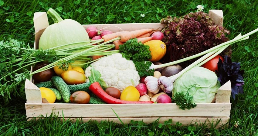 What is Organic Food and what are the benefits?