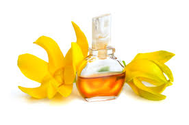 Benefits Of Ylang Ylang Essential Oil For Hair - Scratch Mommy