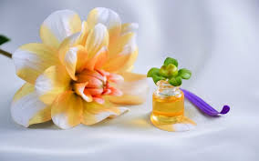 Which Are The Essential Oil's Uses In Your Daily Life? - Nutroo