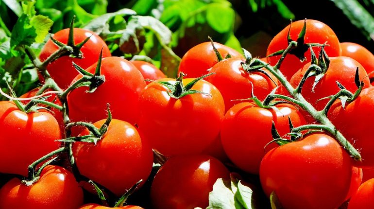 Tomato Good For Skin: Best DIY Masks